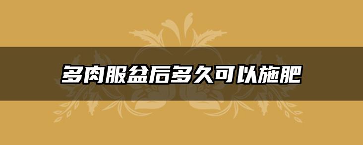 多肉服盆后多久可以施肥