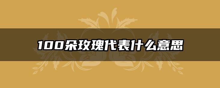 100朵玫瑰代表什么意思