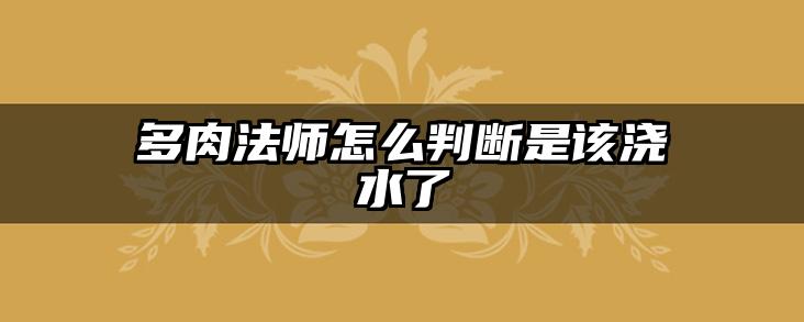 多肉法师怎么判断是该浇水了