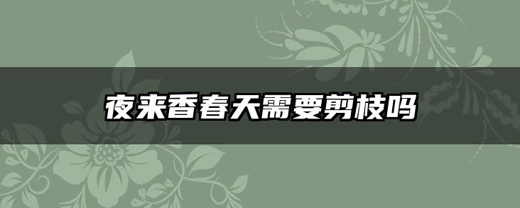 夜来香春天需要剪枝吗