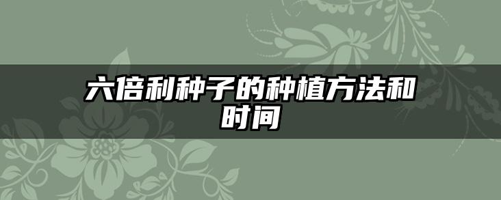 六倍利种子的种植方法和时间