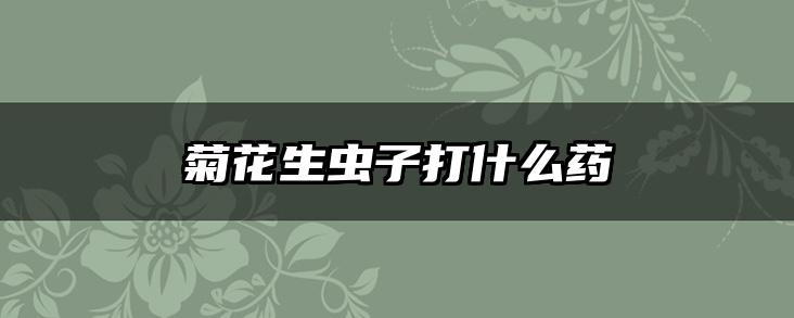 菊花生虫子打什么药