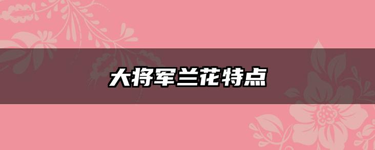 大将军兰花特点