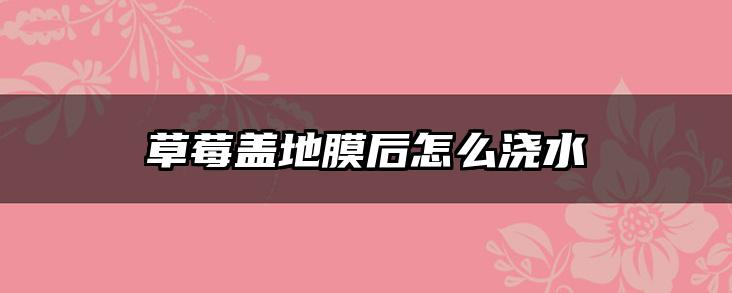 草莓盖地膜后怎么浇水