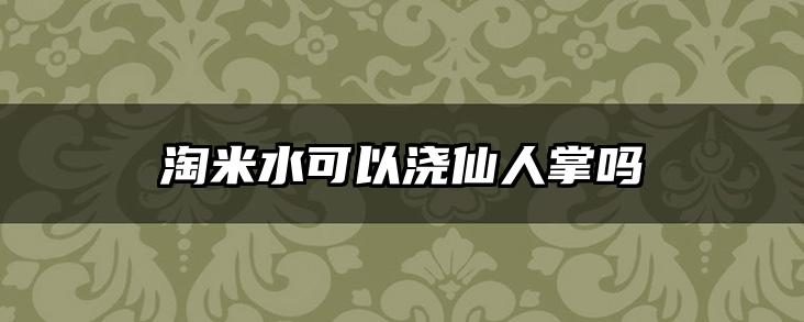 淘米水可以浇仙人掌吗