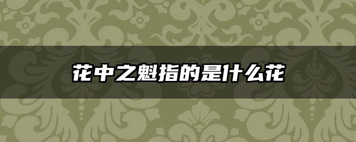 花中之魁指的是什么花