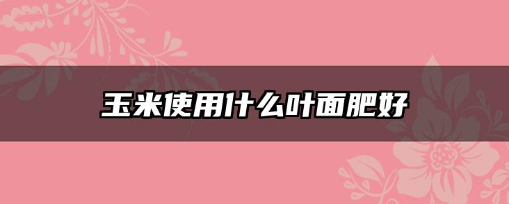 玉米使用什么叶面肥好