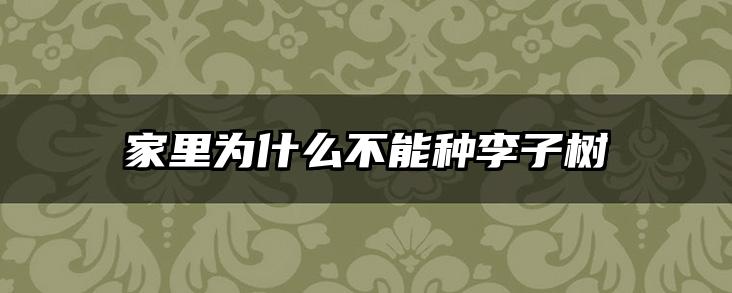 家里为什么不能种李子树