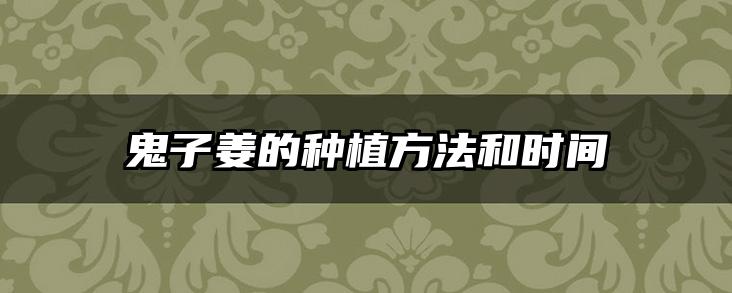 鬼子姜的种植方法和时间
