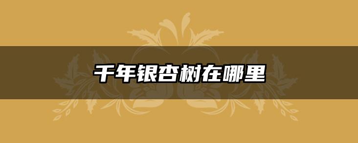 千年银杏树在哪里