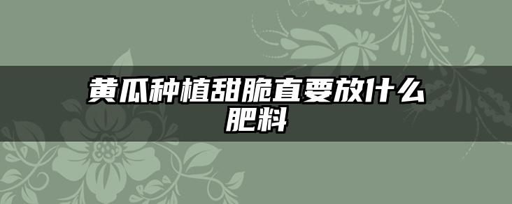 黄瓜种植甜脆直要放什么肥料