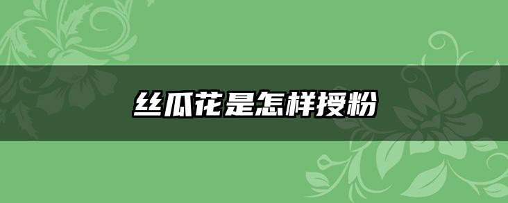丝瓜花是怎样授粉