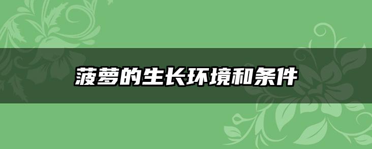 菠萝的生长环境和条件