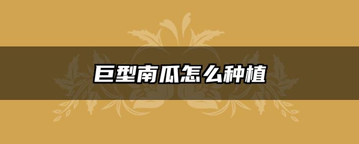 巨型南瓜怎么种植