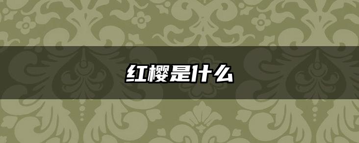 红樱是什么