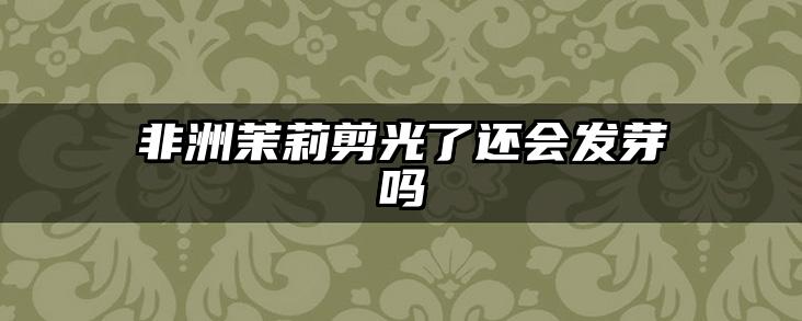 非洲茉莉剪光了还会发芽吗