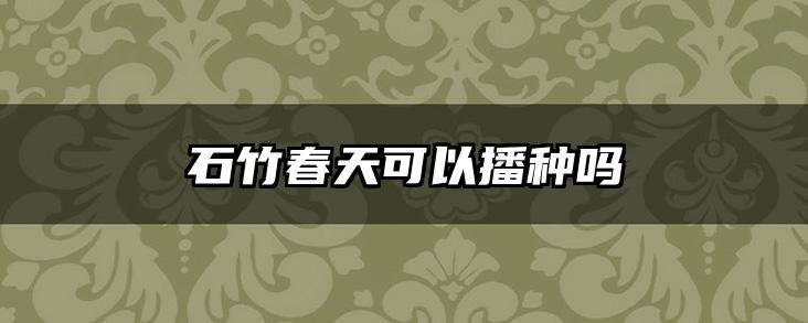 石竹春天可以播种吗