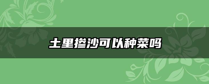 土里掺沙可以种菜吗