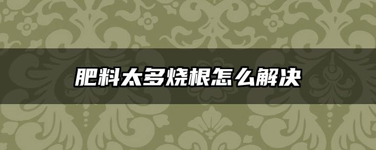 肥料太多烧根怎么解决