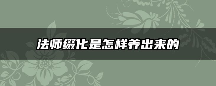 法师缀化是怎样养出来的