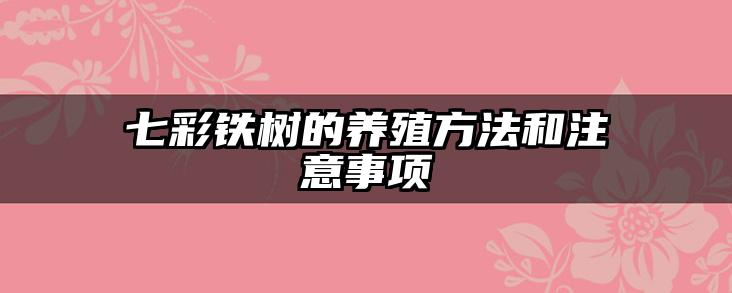 七彩铁树的养殖方法和注意事项