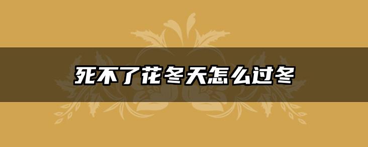 死不了花冬天怎么过冬
