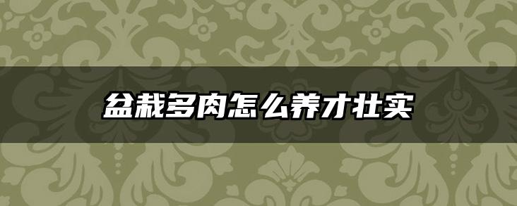 盆栽多肉怎么养才壮实