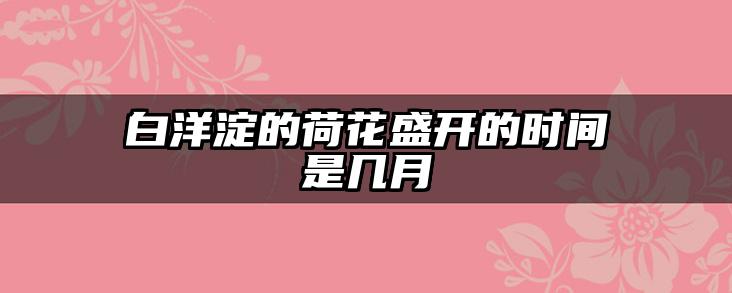白洋淀的荷花盛开的时间是几月