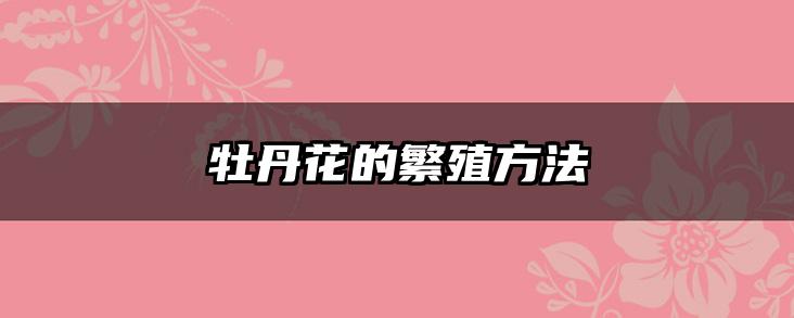 牡丹花的繁殖方法
