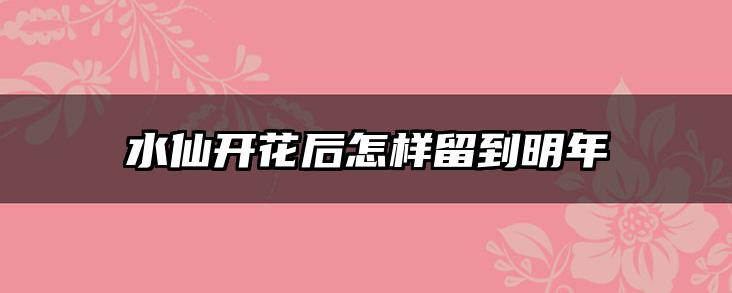 水仙开花后怎样留到明年