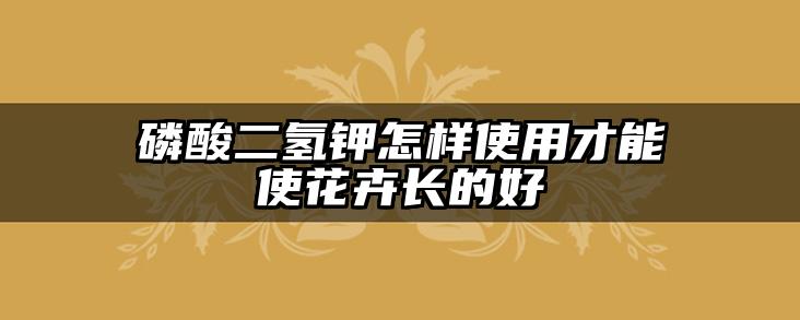 磷酸二氢钾怎样使用才能使花卉长的好