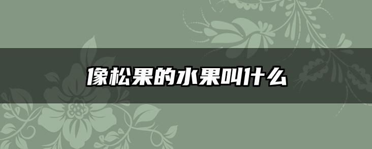 像松果的水果叫什么
