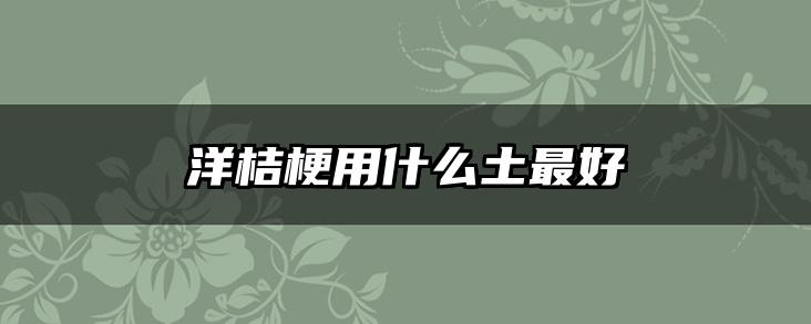 洋桔梗用什么土最好