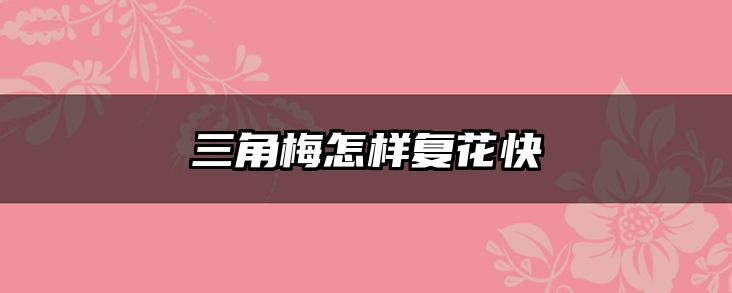 三角梅怎样复花快
