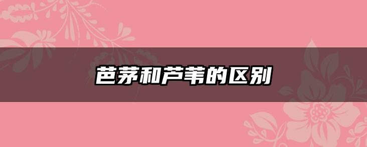 芭茅和芦苇的区别