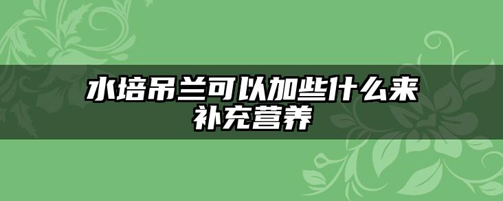 水培吊兰可以加些什么来补充营养
