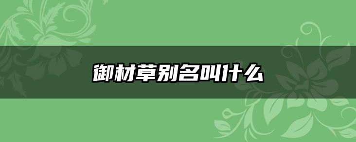 御材草别名叫什么
