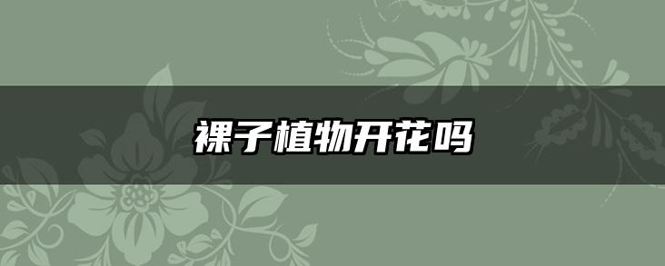 裸子植物开花吗