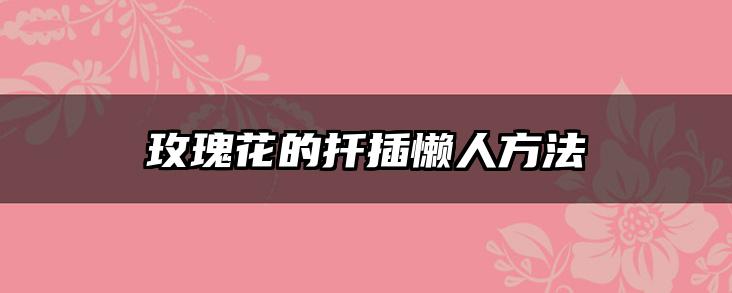 玫瑰花的扦插懒人方法