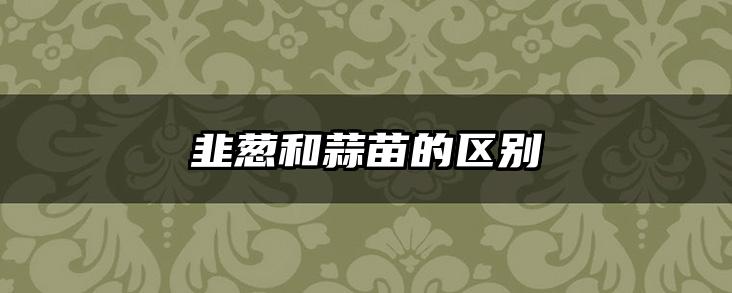韭葱和蒜苗的区别