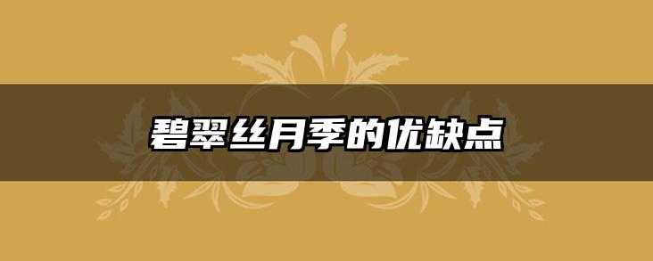 碧翠丝月季的优缺点