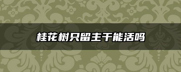 桂花树只留主干能活吗