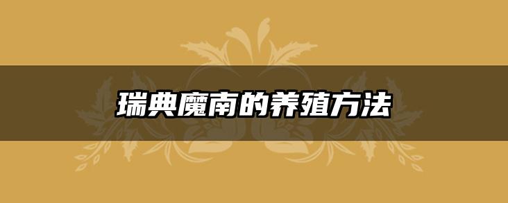瑞典魔南的养殖方法