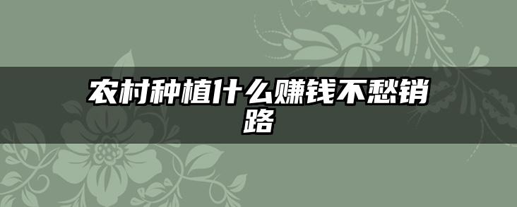 农村种植什么赚钱不愁销路