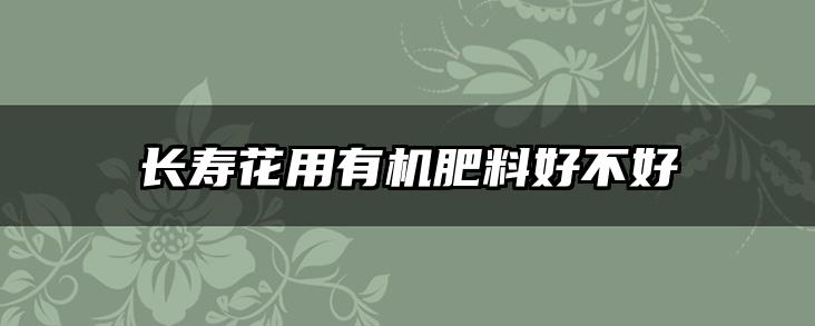 长寿花用有机肥料好不好