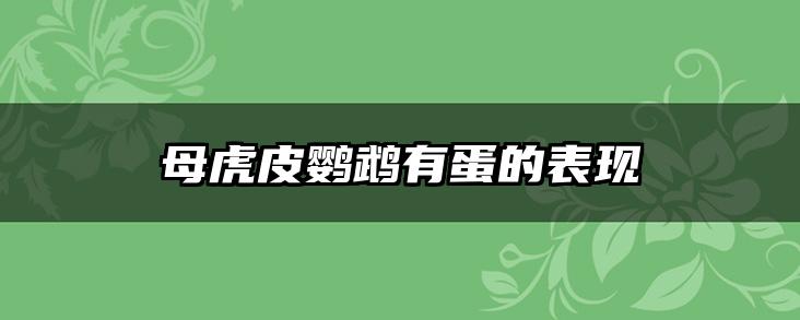 母虎皮鹦鹉有蛋的表现