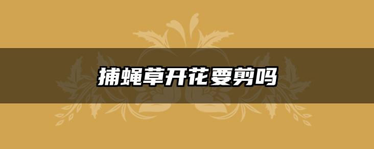 捕蝇草开花要剪吗