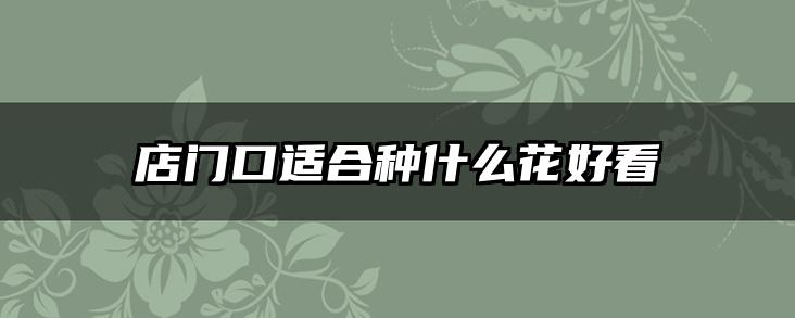店门口适合种什么花好看