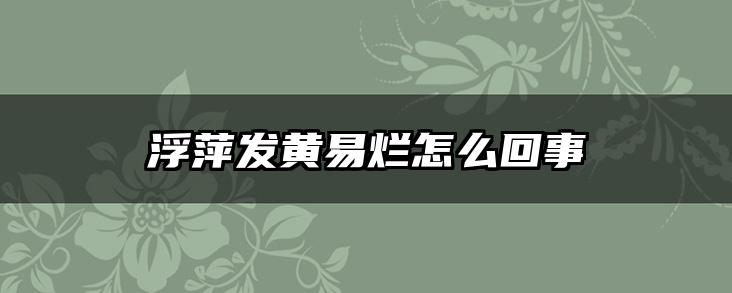 浮萍发黄易烂怎么回事