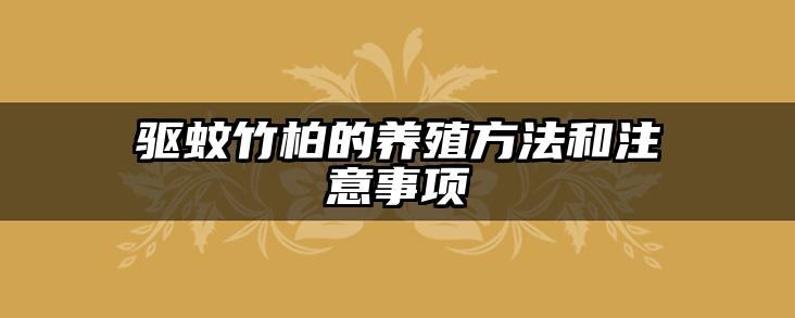 驱蚊竹柏的养殖方法和注意事项